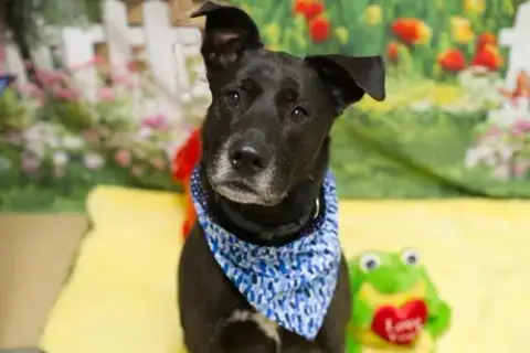 Max