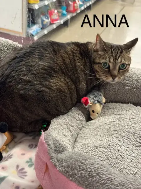 Anna & Elsa photo 2