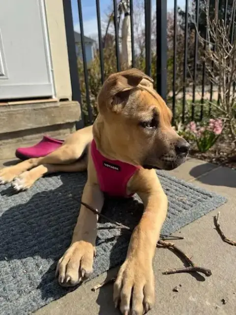 Penelope photo 3