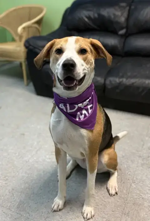 Hazel photo 4