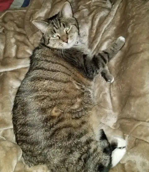 Athena