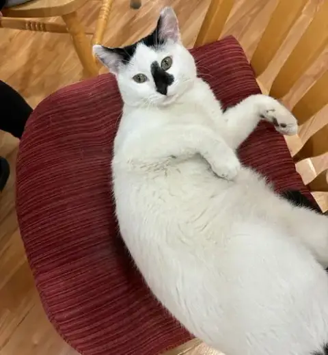 Casper