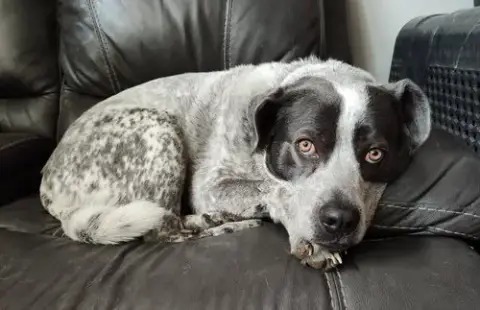Maggie photo 2