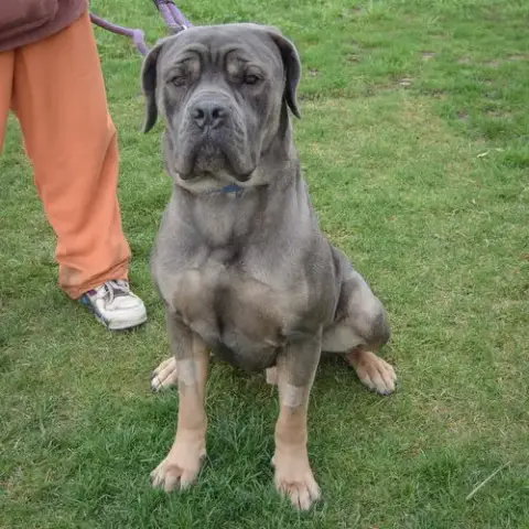 Otis photo 4