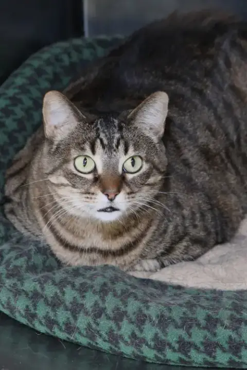Sabrina photo 3