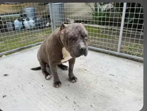 Drax Aka Thor photo 5