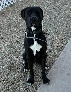 Zeus photo 2