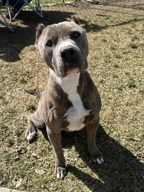 Mack photo 3