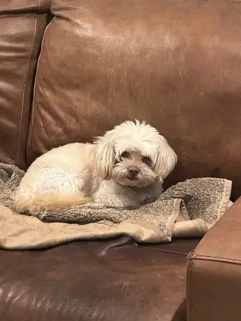 Duffy
