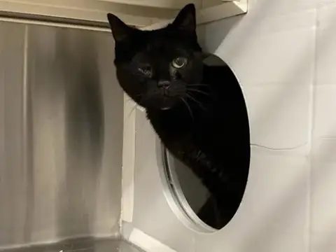 Kiki