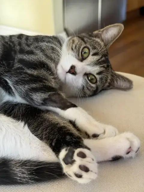 Cubbie And Jesse photo 4