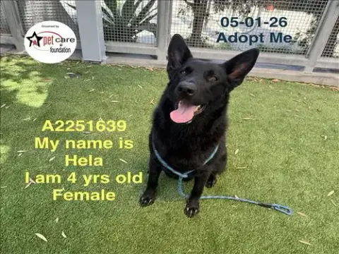 Hela