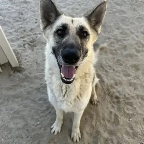 Missy