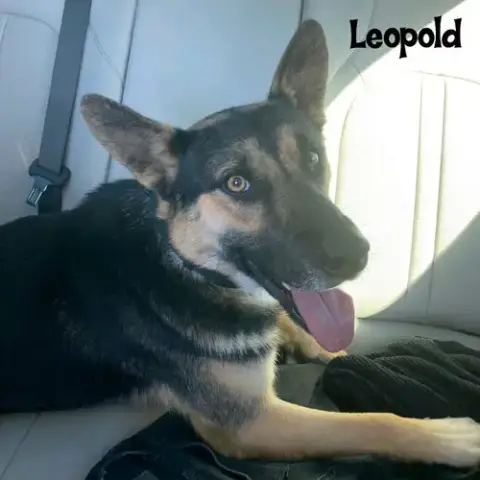 Leopold
