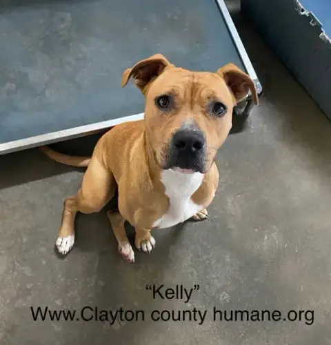 Kelly photo 3