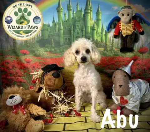 Abu