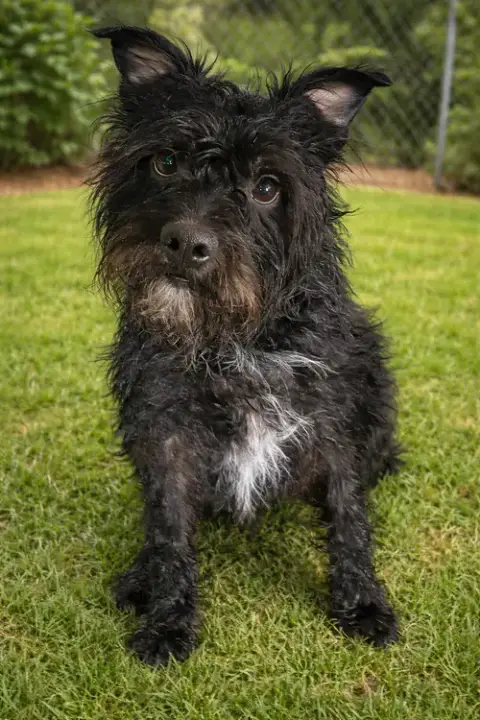 Turbo photo 2