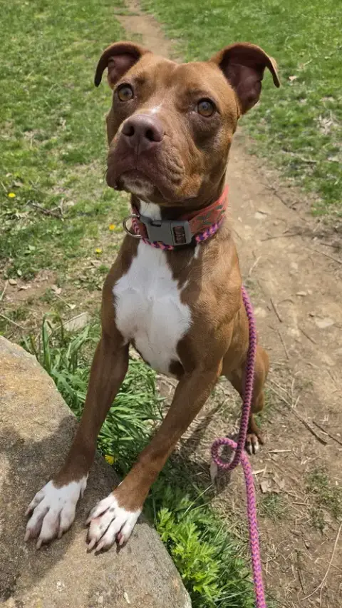 Rosie Louisiana