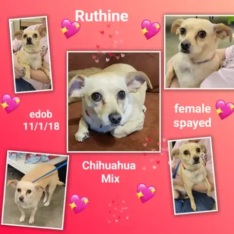 Ruthine photo 2