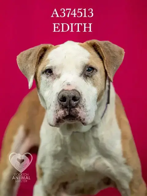 Edith