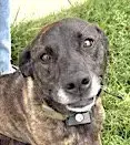 Skye
