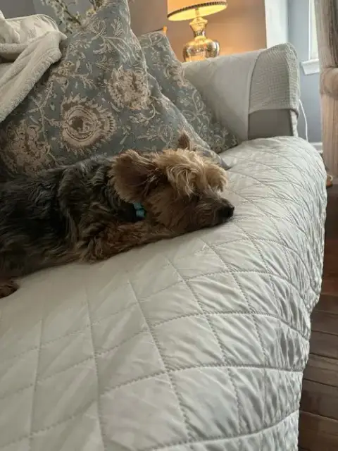 Jake photo 3