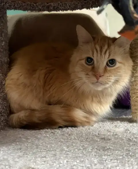 Winston photo 2