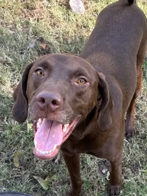 Buddy photo 3