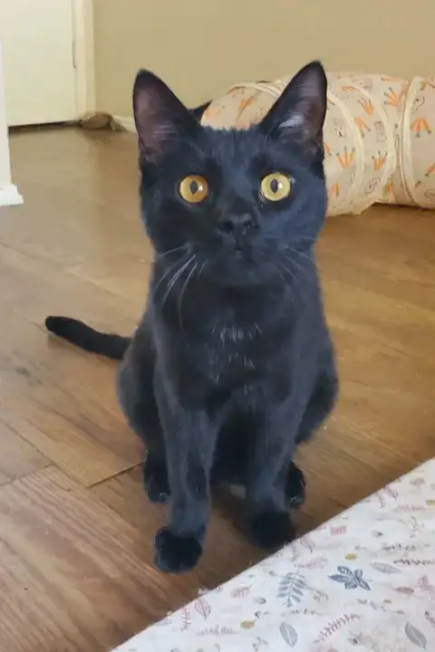 Rory