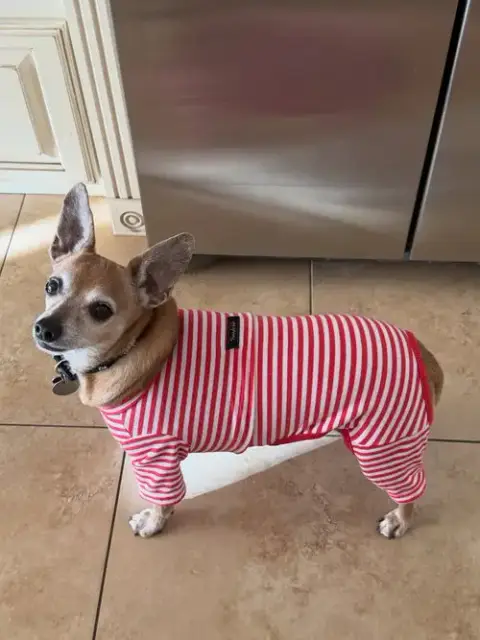 Coco photo 3