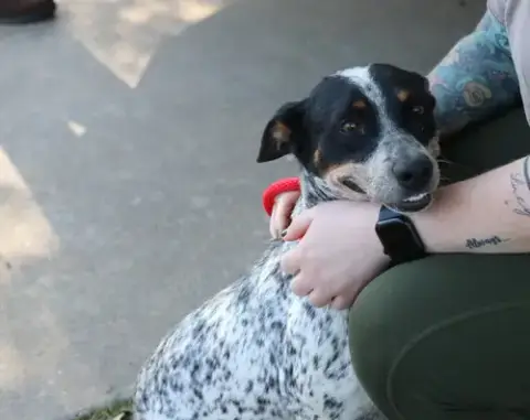 Sasha Heeler photo 3