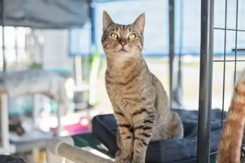 Oscar photo 3
