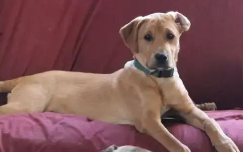 Theodore photo 5