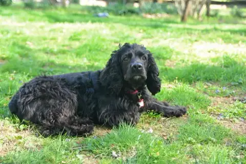 Bella photo 4