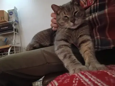 Snuggs photo 2