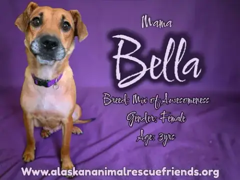 Bella