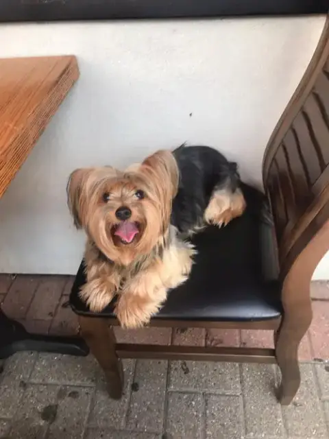 Charley Boy