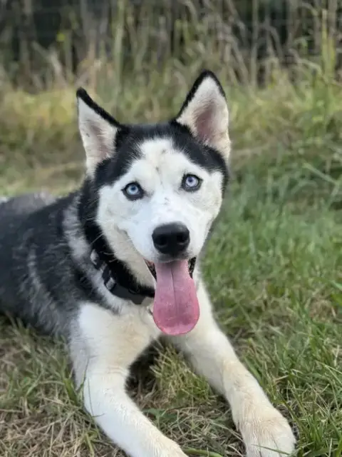 Lexie