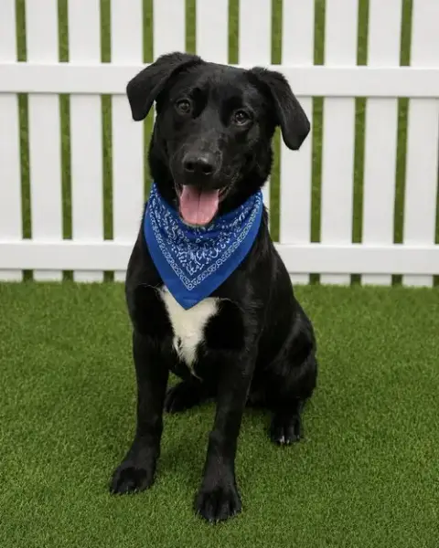Rookie photo 4