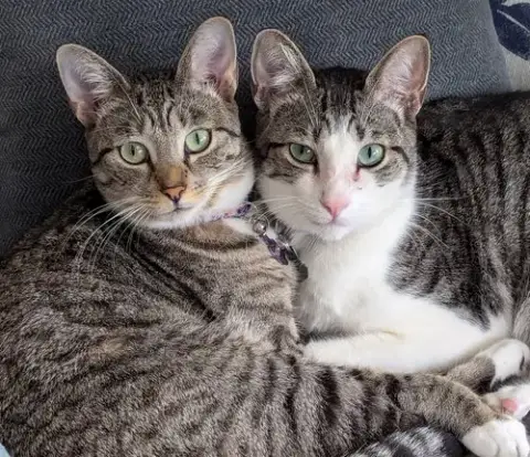 Whiskey & Nini 7.20.23 photo 2