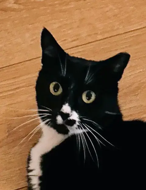 Abby