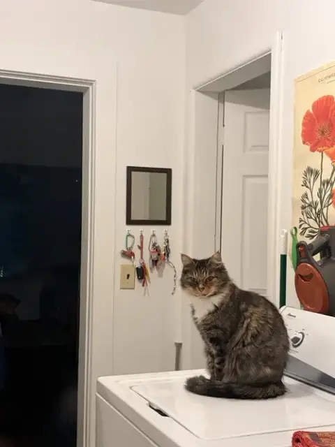 Mama
