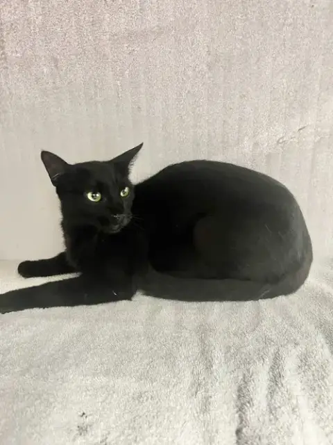 Lucy photo 3