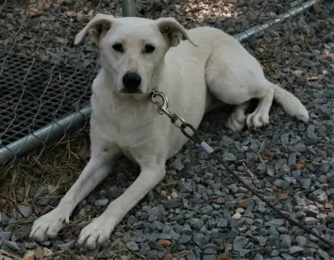 Dolly photo 4