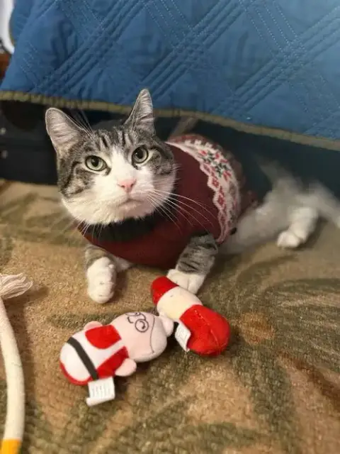 Toby