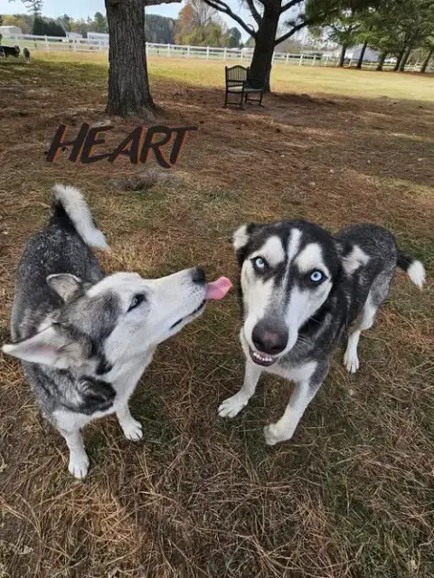 Zoe & Pedro