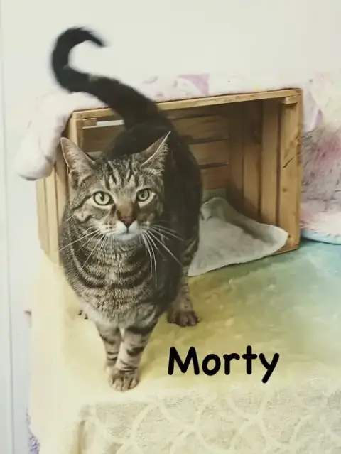 Morty photo 2