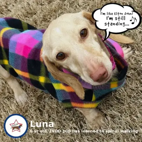 Luna In Ky photo 4