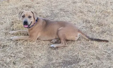 Mabel photo 2
