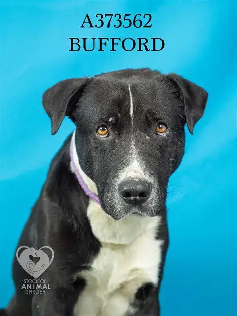 Bufford